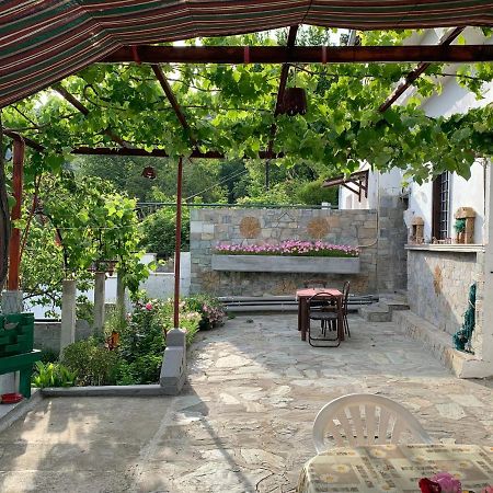Η Θεα Traditional House Makrinítsa Zewnętrze zdjęcie