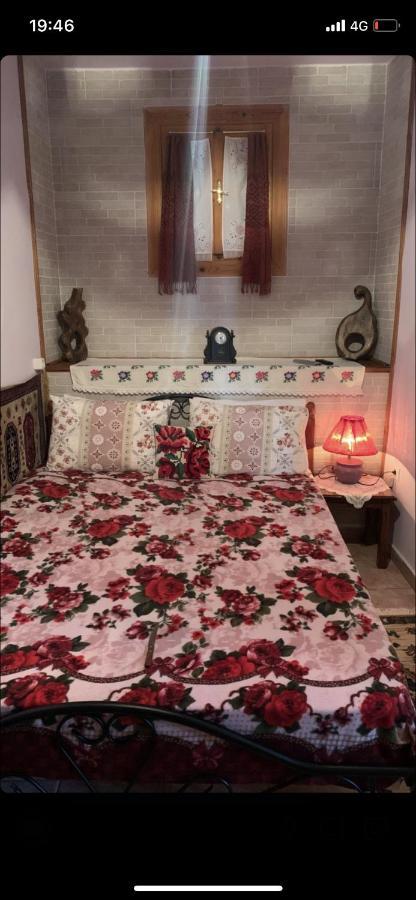 Η Θεα Traditional House Makrinítsa Zewnętrze zdjęcie