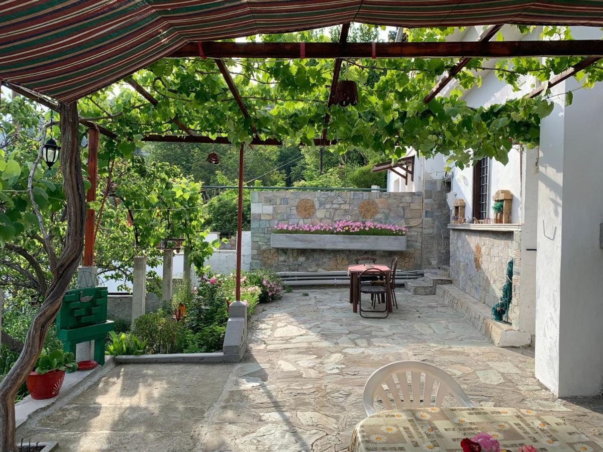 Η Θεα Traditional House Makrinítsa Zewnętrze zdjęcie